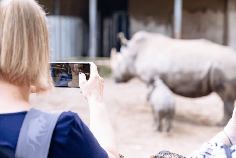 1-day ticket for Schwerin Zoo - How much value do you get for $16?
