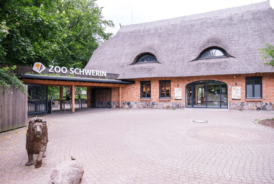 1-day ticket for Schwerin Zoo - Timing, weather, and what to bring