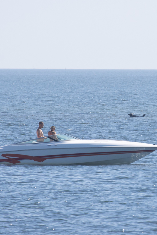 Baabe on Rügen: Seal-Spotting Cruise in the Baltic - Key points to know before you book