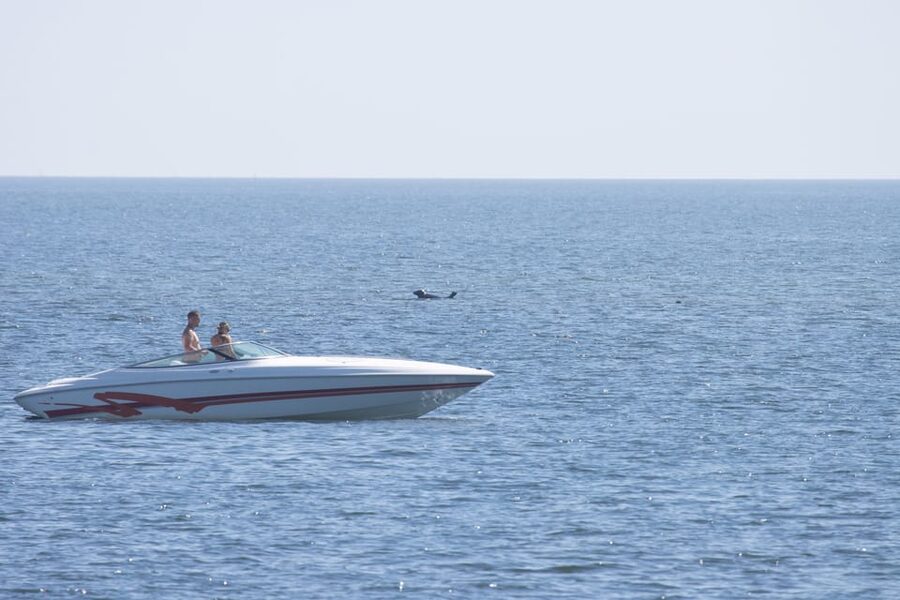Baabe on Rügen: Seal-Spotting Cruise in the Baltic - A practical way to approach the 2.5 hours