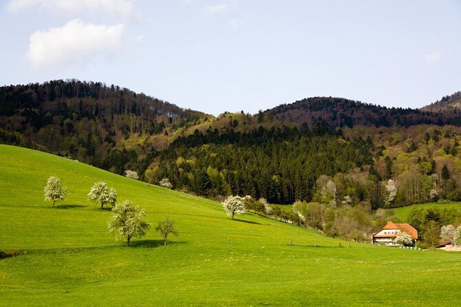 Baden-Baden, Black Forest and Strasbourg Day Trip from Frankfurt - Five Things To Know Before You Book