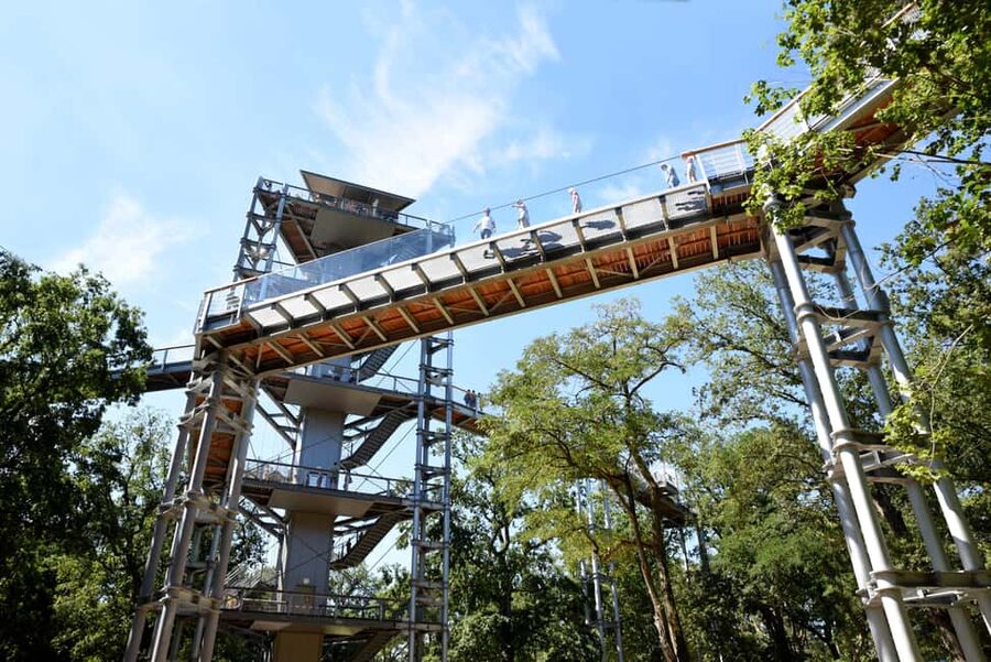 Beelitz-Heilstätten: Baum&Zeit Tree Top Walk Entry Ticket - Why Beelitz-Heilstätten feels so unusual