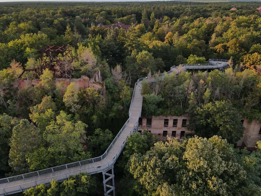 Beelitz-Heilstätten: Baum&Zeit Tree Top Walk Entry Ticket - Crossing the Alpenhaus ruins and its rooftop forest