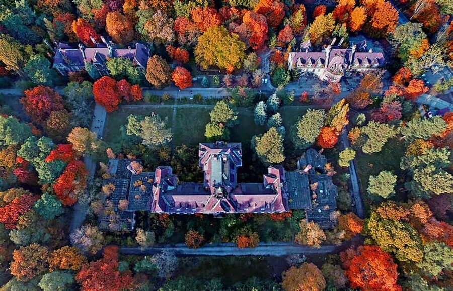 Beelitz-Heilstätten: Baum&Zeit Tree Top Walk Entry Ticket - Seeing the old women’s sanatorium from above