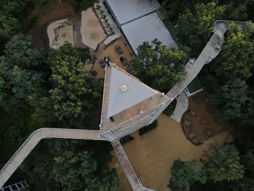 Beelitz-Heilstätten: Baum&Zeit Tree Top Walk Entry Ticket - How the seasons change the walk