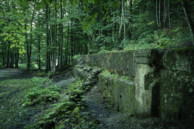 Berchtesgaden-Obersalzberg Private Half Day WWII Historical Tour - Tom Lewis and the value of a private guide