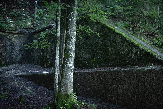 Berchtesgaden-Obersalzberg Private Half Day WWII Historical Tour - Who should book this half-day tour?