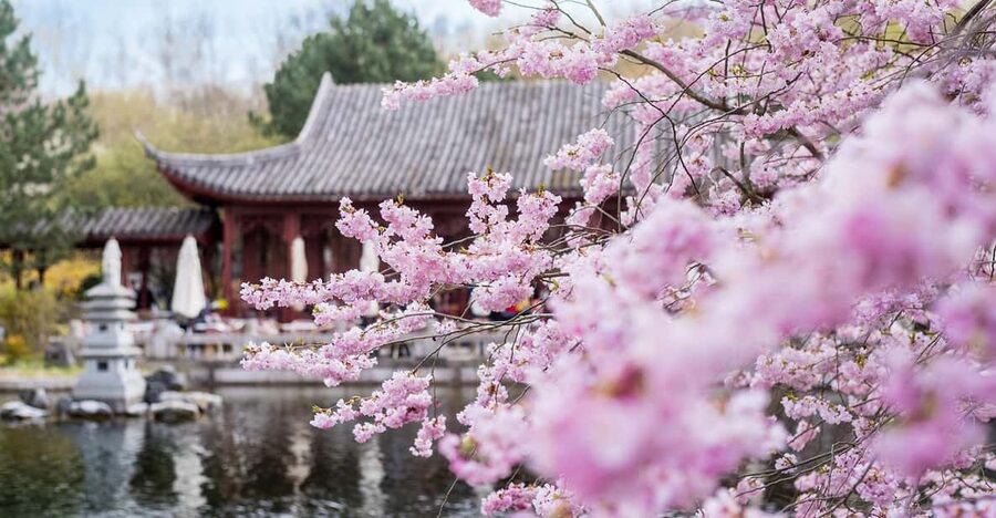 Berlin: Gärten der Welt Guided Tour - The Chinese Garden: balance, design and quiet