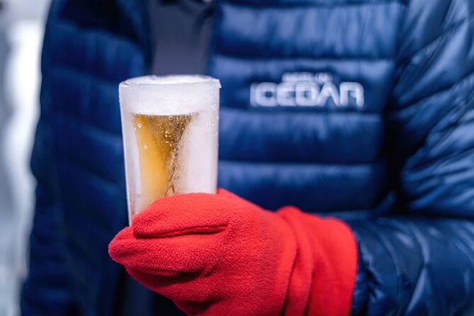 Berlin Icebar Experience Including 3 drinks - What the Berlin Icebar experience is really like