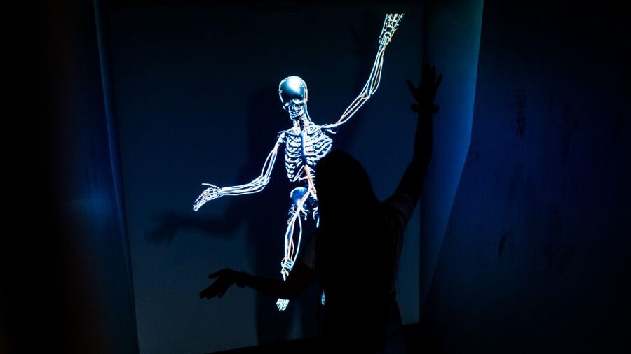 Berlin: Interactive DeJa Vu Museum Entrance Ticket - The Dark Room and Projector Displays