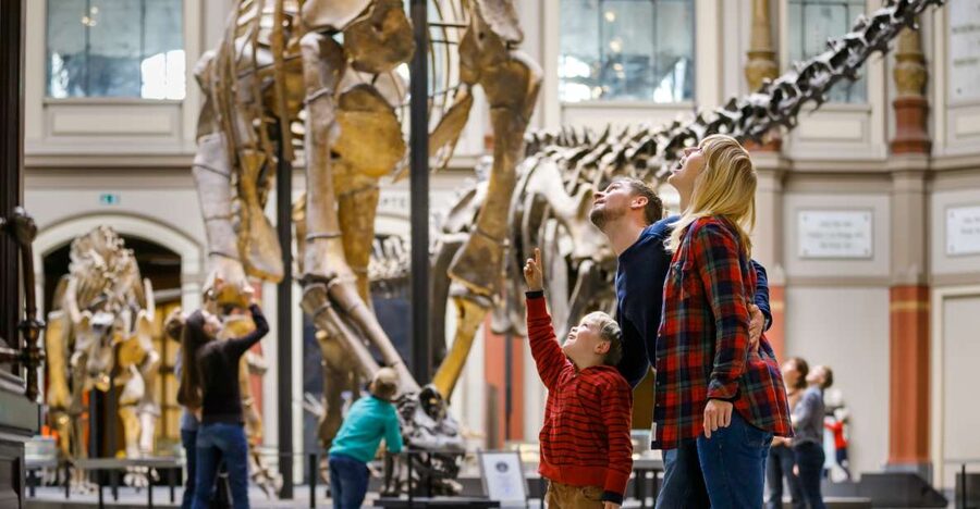 Berlin: Natural History Museum Entrance Ticket - Key things to know before you go
