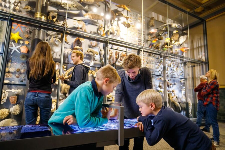 Berlin: Natural History Museum Entrance Ticket - The Biodiversity Wall and the question of loss