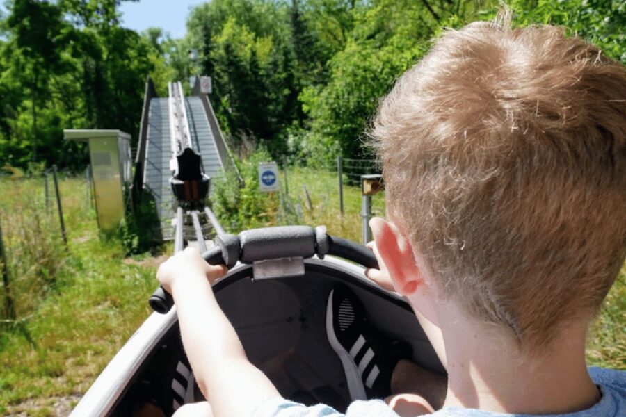 Berlin: Nature Bobsled Run Ticket - Why the park setting adds value