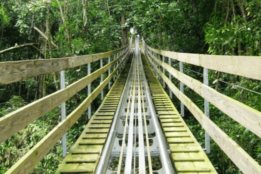 Berlin: Nature Bobsled Run Ticket - The booking feedback gives a useful warning