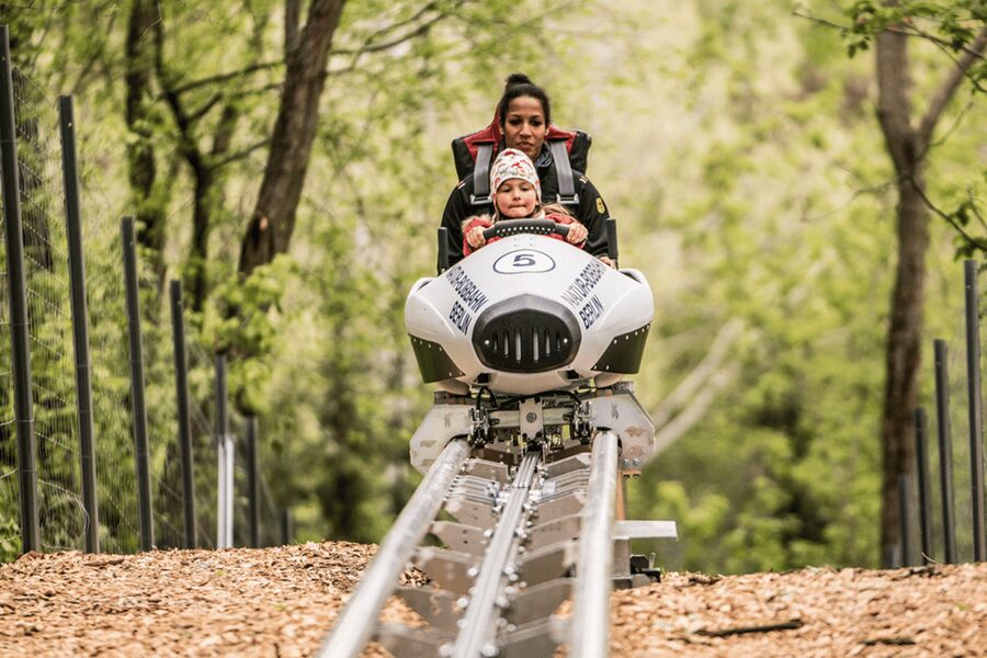 Berlin: Nature Bobsled Run Ticket - Should you book the Nature Bobsled Run?