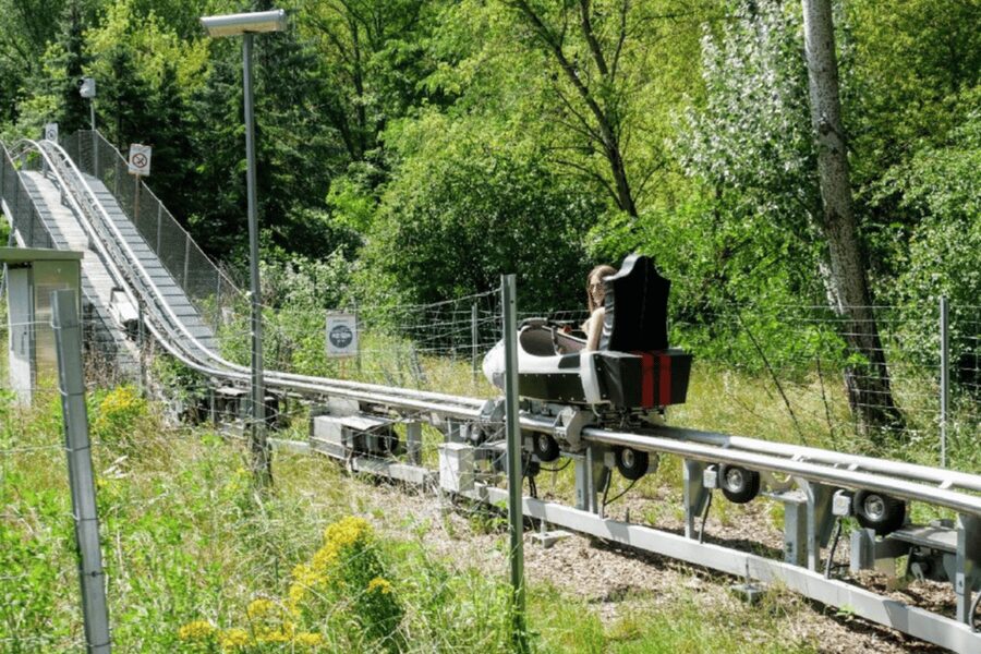 Berlin: Nature Bobsled Run Ticket - The descent reaches 40 km/h