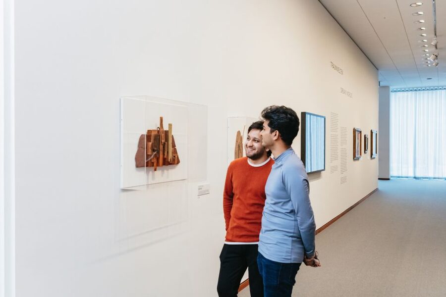 Berlin: Neue Nationalgalerie Entry Ticket - The Entry Process and the Timing Risk