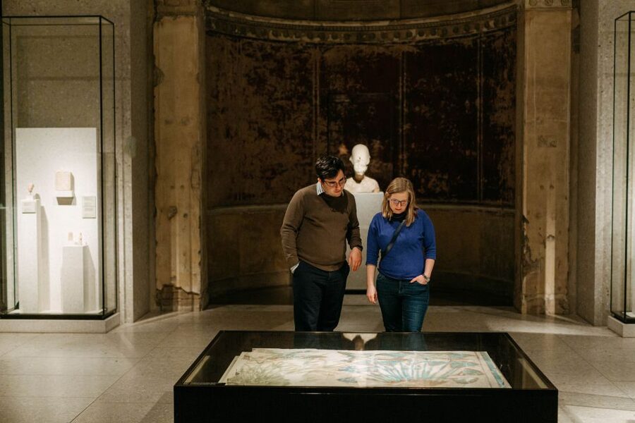 Berlin: Neues Museum Entry Ticket - Is $16 good value for Berlin?