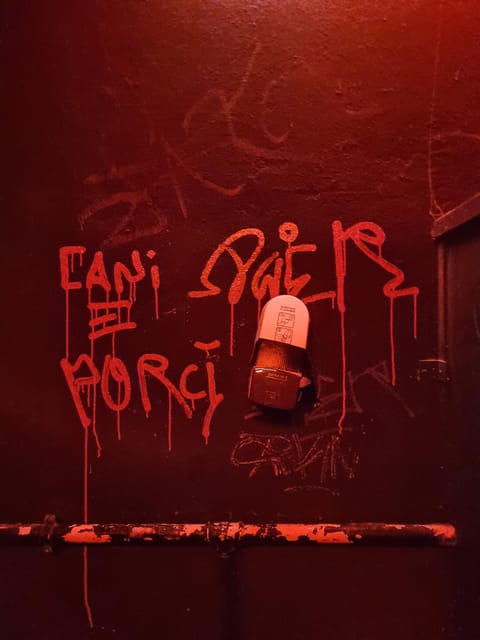 Berlin: Premium Underground Party Tour - What $176 buys you