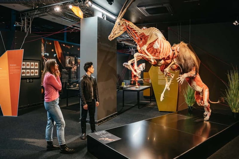 Berlin: Tickets for the BODY WORLDS Museum in Berlin - Key Points Before You Go