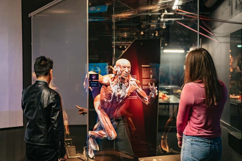 Berlin: Tickets for the BODY WORLDS Museum in Berlin - Is $22 a Fair Price?