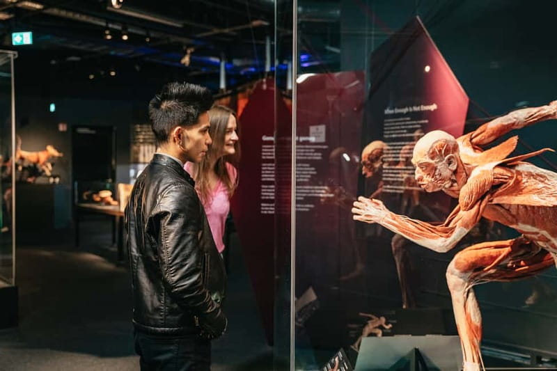 Berlin: Tickets for the BODY WORLDS Museum in Berlin - Following the Skeleton and Muscles