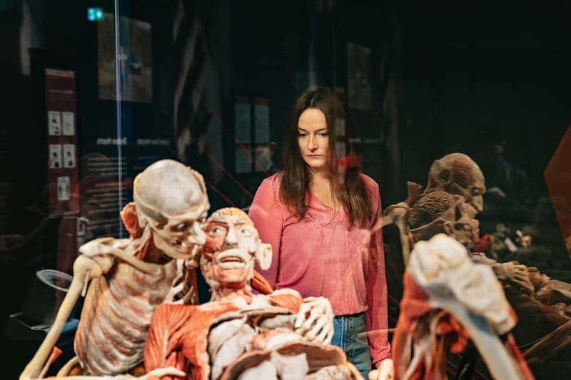 Berlin: Tickets for the BODY WORLDS Museum in Berlin - The Nervous System and Embryo Development