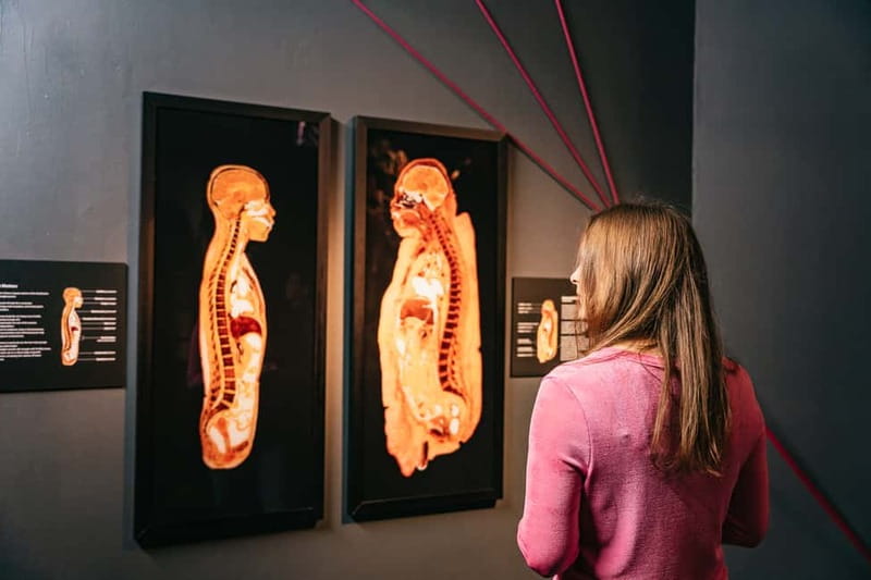 Berlin: Tickets for the BODY WORLDS Museum in Berlin - From Anatomy to Happiness and Stress