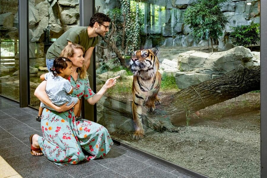 Berlin: Tickets for the Tierpark in East Berlin - The Africa Savannah and its eye-level giraffes