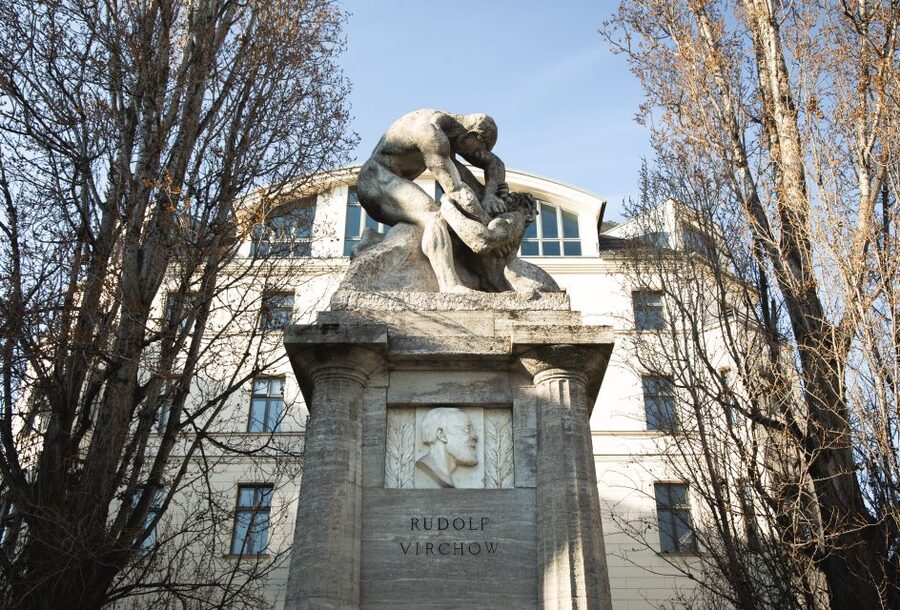 Berlin: walking tour about Charité - Who should book this Charité experience?