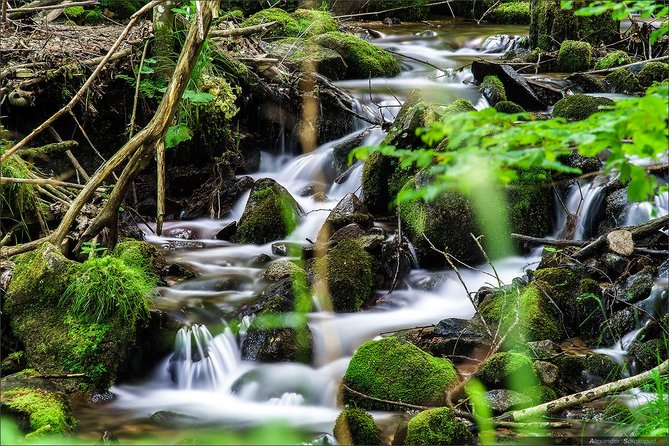 Black Forest. From Baden-Baden to Strasbourg. Two countries in one day - Five Things to Know Before You Go