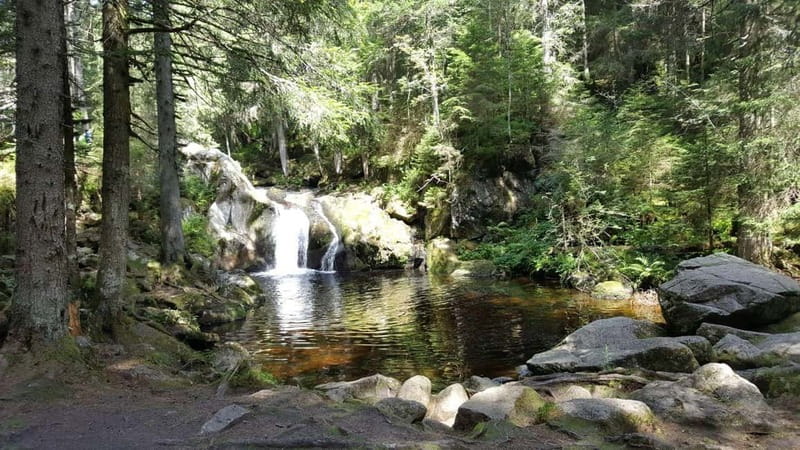 Black Forest: Ravenna Gorge Hike, Self-Guided - How good is the app?
