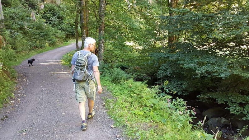 Black Forest: Ravenna Gorge Hike, Self-Guided - Following the 8-kilometer route