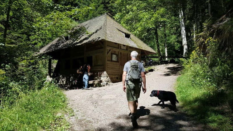 Black Forest: Ravenna Gorge Hike, Self-Guided - Old mills and the work of the valley