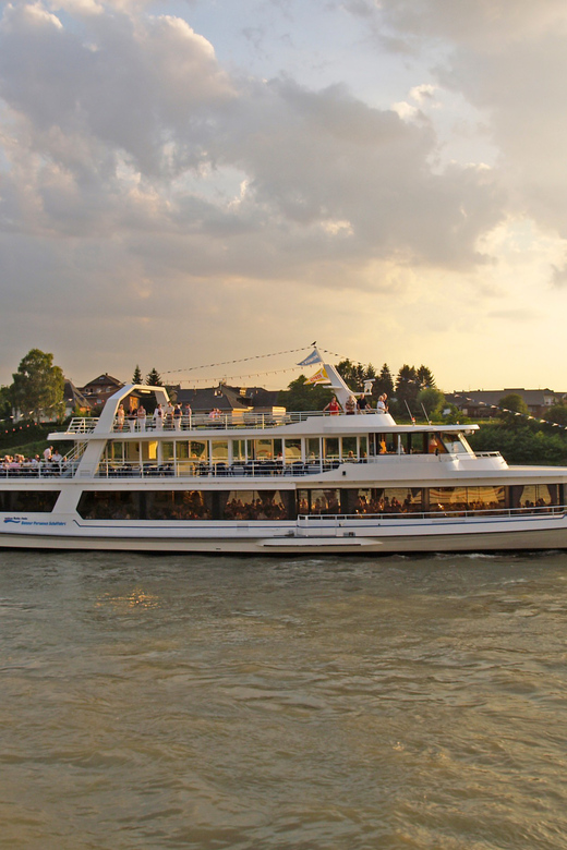 Bonn: 1.5-Hour River Cruise on the Rhine - Should you book the Bonn Rhine cruise?