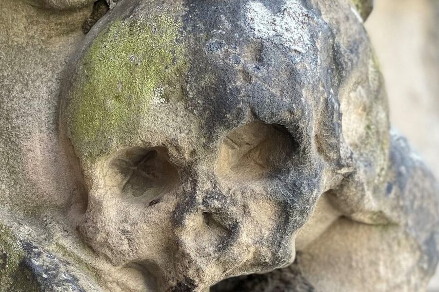 Braunschweig: Private Tour to Ghosts, Witches & Vampires - Key points to know before you book