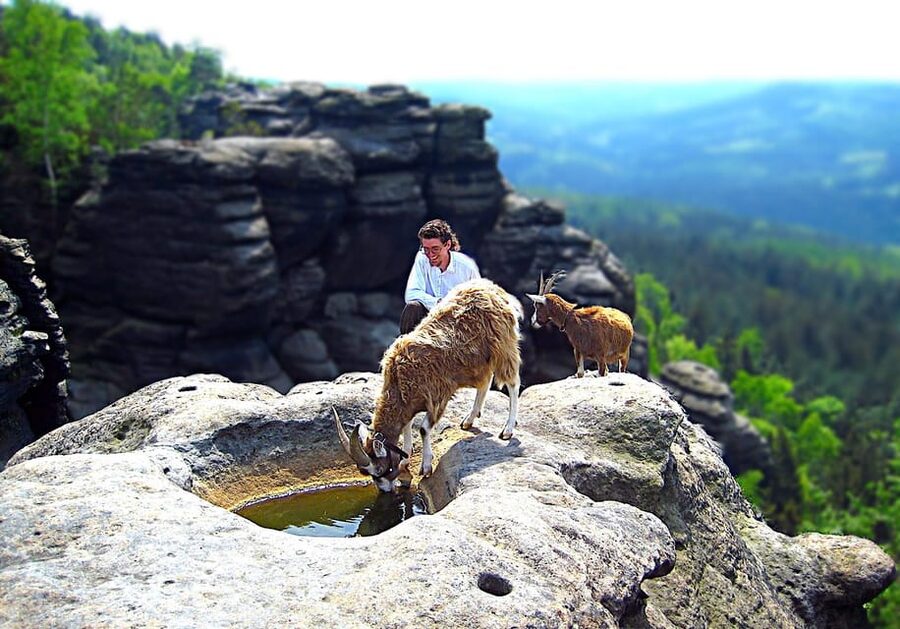 Climb the mountains together with goats - Why this goat hike feels different