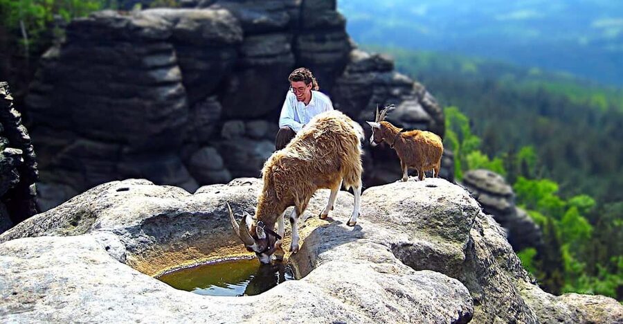 Climb the mountains together with goats - Starting at Ziegen-Alm in Pfaffendorf