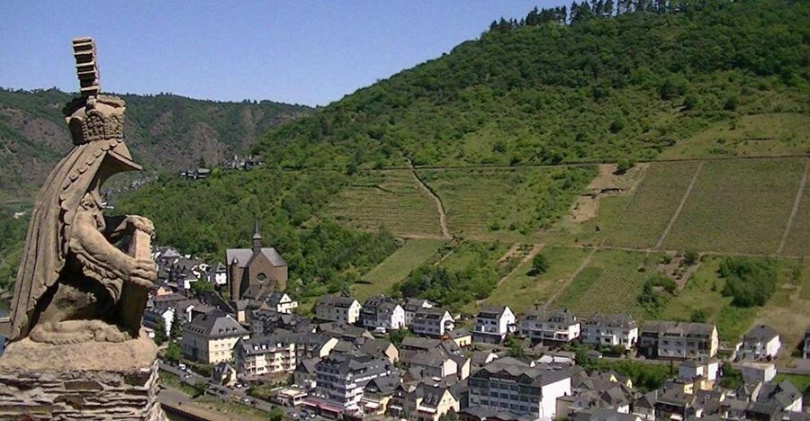 Cochem: Private Guided Walking Tour - What the local guide adds