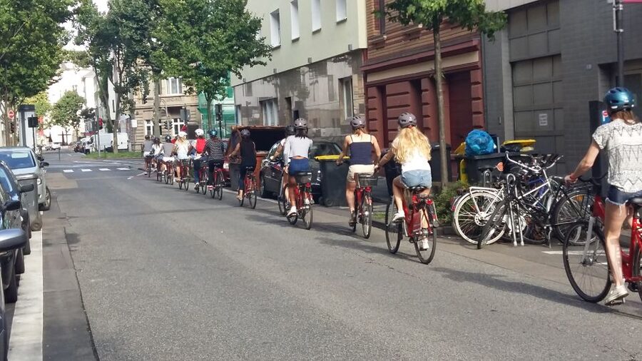 Cologne: 3-Hour Guided Bike Tour - Alter Markt, a brewery break, and the Martinsviertel