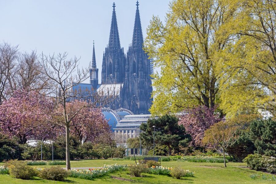 Cologne: City Highlights Segway Tour - Deutz, KölnTriangle, and the exhibition district