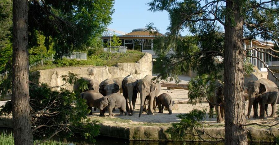 Cologne: Cologne Zoo and Aquarium Entry Ticket - The key points at a glance