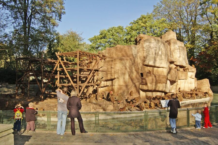 Cologne: Cologne Zoo and Aquarium Entry Ticket - The Rainforest Hall and South American animals