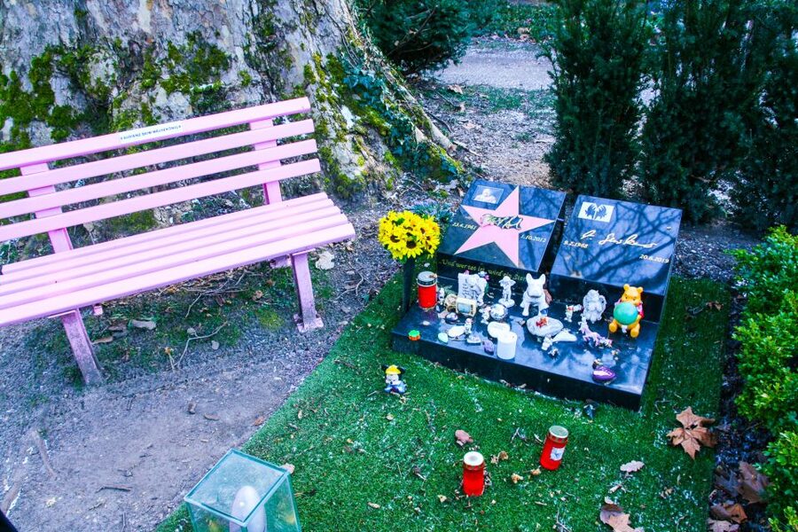Cologne: Guided Tour of Melatenfriedhof - A thoughtful alternative to Cologne’s usual sights
