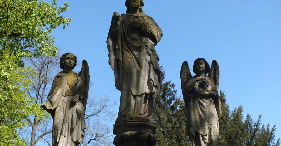 Cologne: Melaten Cemetery Life, Love and Death Tour - Key points to know before you book