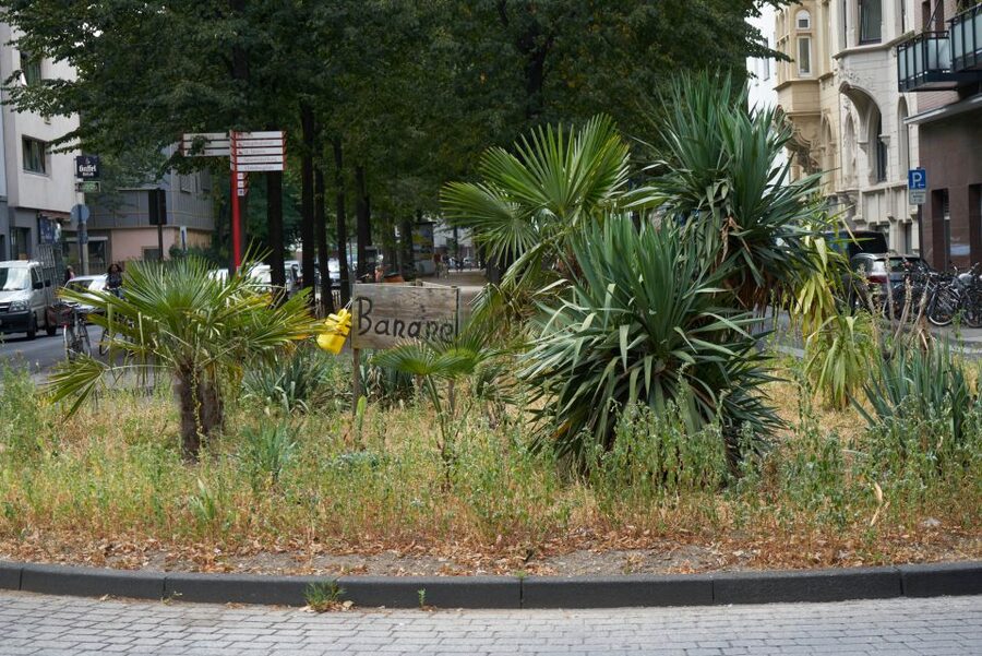 Cologne: Südstadt Guided Foodie Walking Tour - The brewery stop and a taste of Cologne tradition