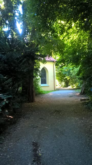 Constance: Private City Tour – The Mystical Constance - Münsterplatz and the cathedral