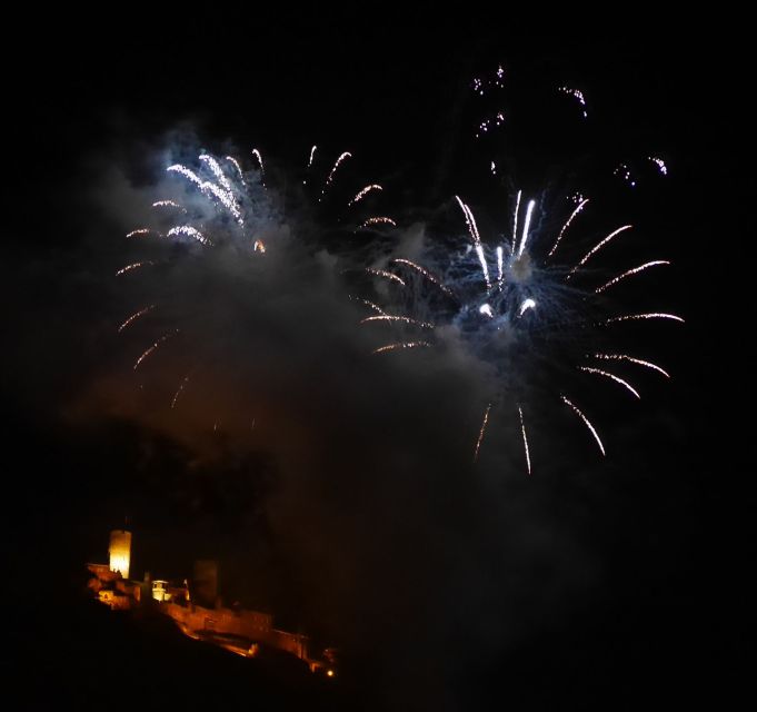 Cruise to the fireworks of Winninger vinefestival - Passing through Lehmen lock