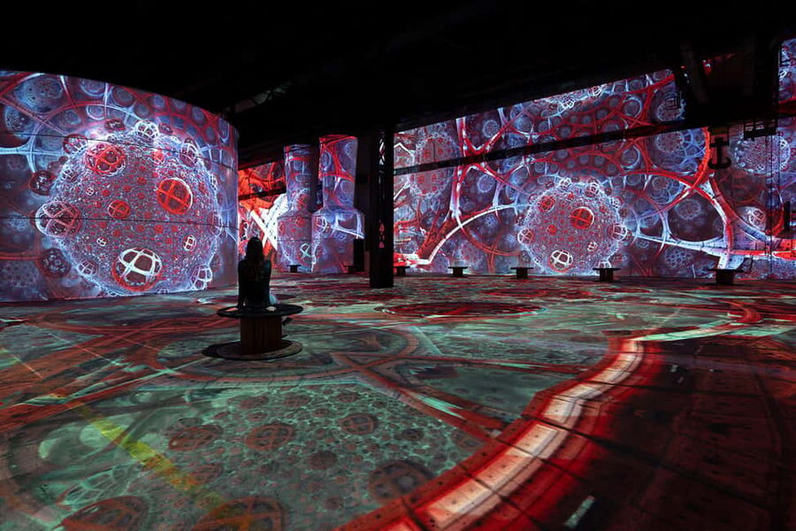 Dortmund: Phoenix des Lumières Ticket – Monet - Who will enjoy this most?