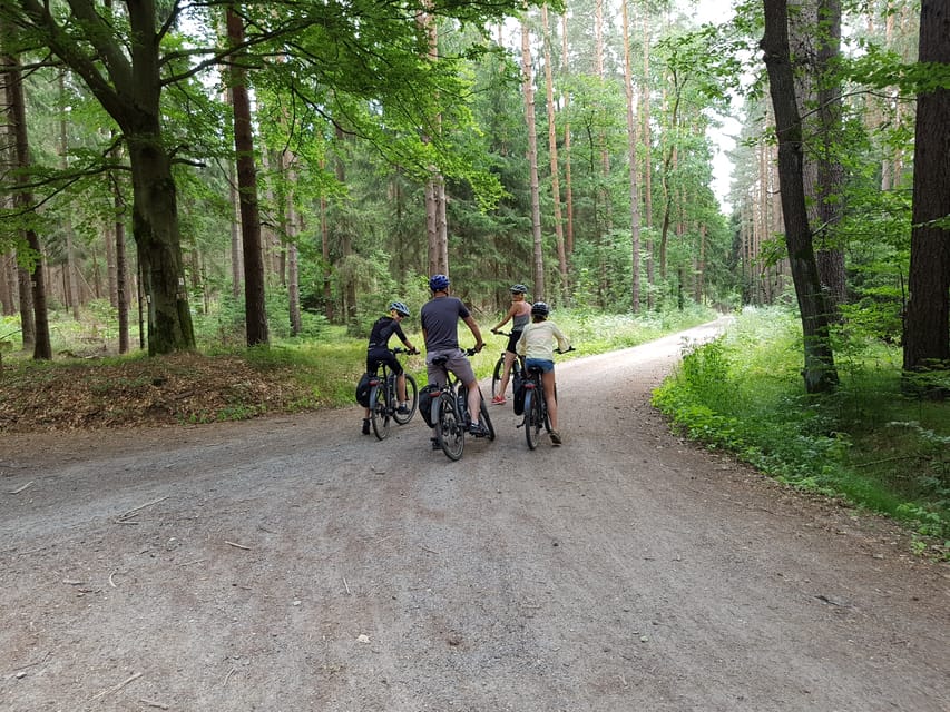 Dresden: E-Bike Tour and Dresden Heath Forest Trails - Through Alaunplatz and Dresden Heath